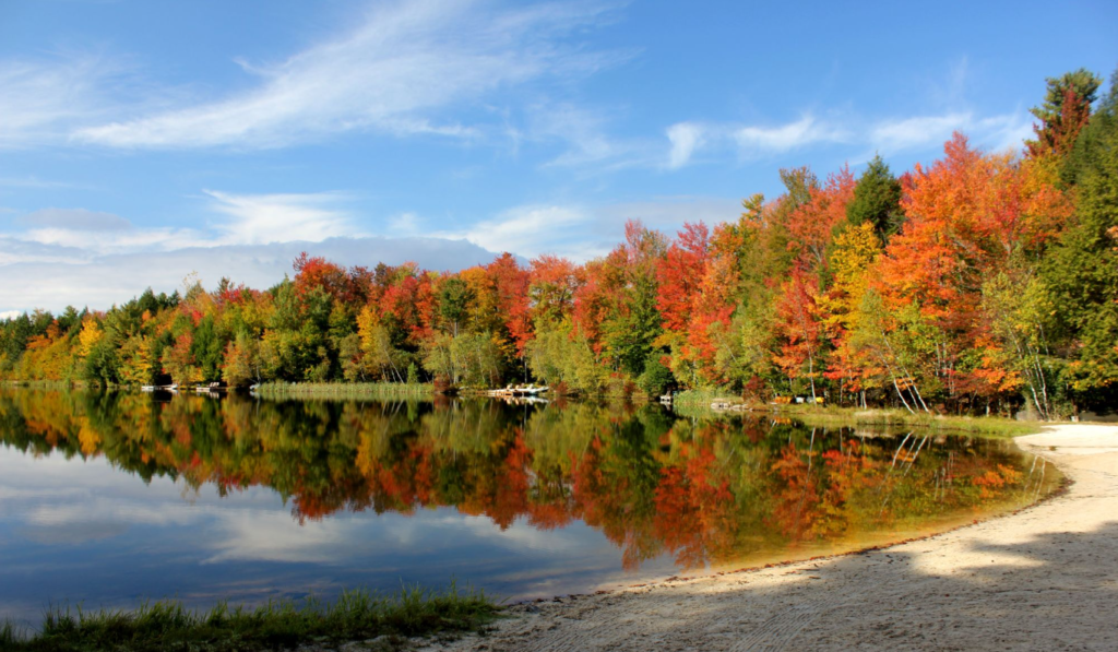 Lake Bluff Moving Services